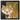 6x6 Barn Kitty