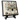 6x6 Catnip