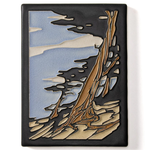 6x8 Windswept Cypress