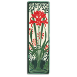 4x12 Amaryllis