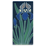 4x8 Iris