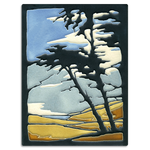6x8 Montana de Oro